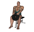 Anterior Raise - Seated Upright Forward Plate
